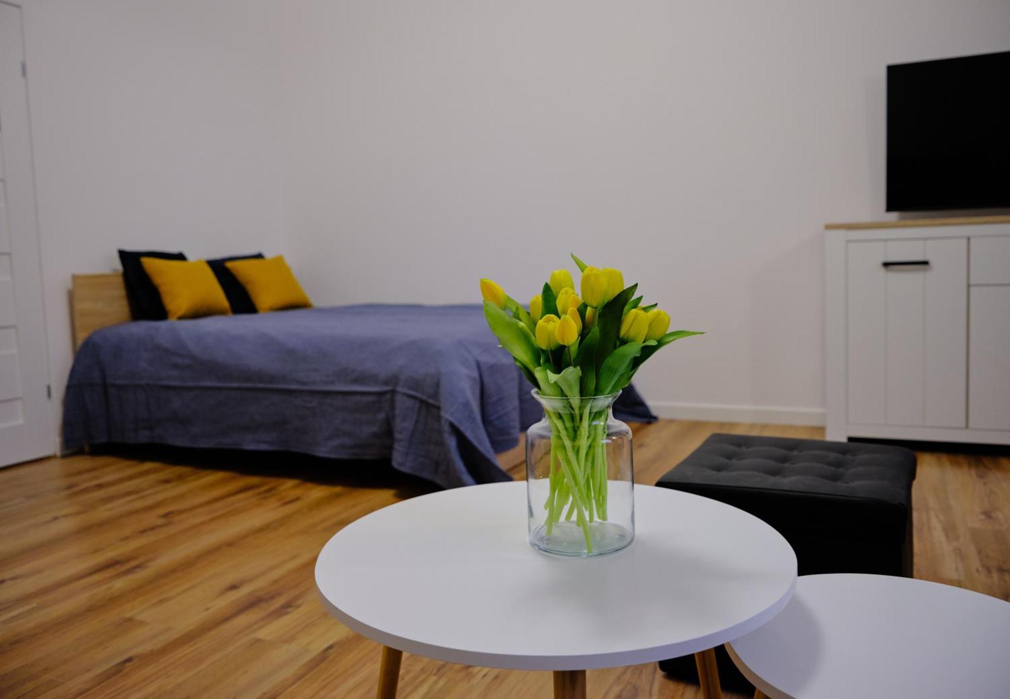 Urania Apartamenty Kowary Rum bild